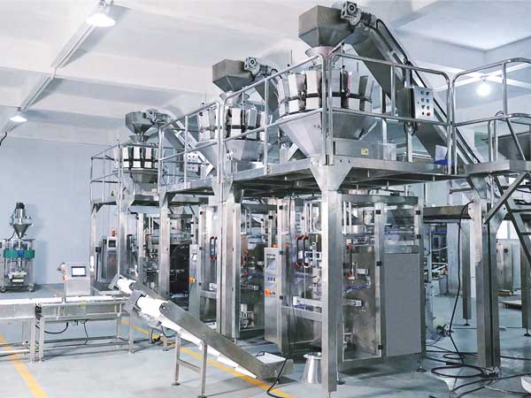 自動定量稱重的全自動顆粒包裝機(jī)