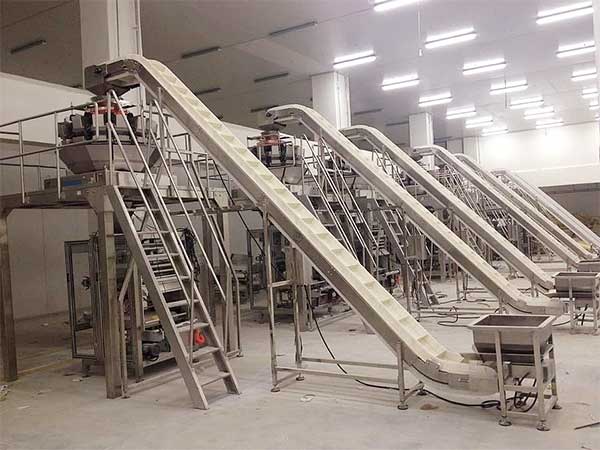 智能化全自動速凍食品包裝機提升企業(yè)生產效率